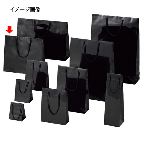 【まとめ買い10個セット品】手提げ紙袋 ブライトバッグ クロ 33×10×30cm 10枚 61-314-2-9 【 ラッピング用品 ラッピングシリーズ バレンタイン・イースター・入学 ブライトバッグ ブラックシモジマ 紙袋 ツヤ有り 黒 】【メイチョー】