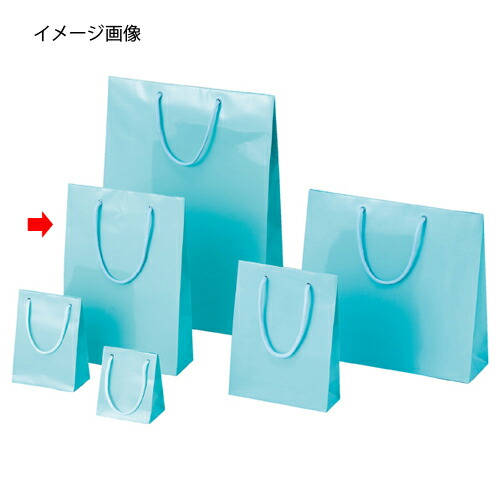 手提げ紙袋 ブライトバッグアサギ22.5×8×32糎 50枚 61-314-6-20 【ラッピング設備 ラッピングシリーズ バレンタイン・復活祭・はいり込む ブライトバッグ アサギシモジマ 紙袋 ツヤ有り 水色】【メイチョー】