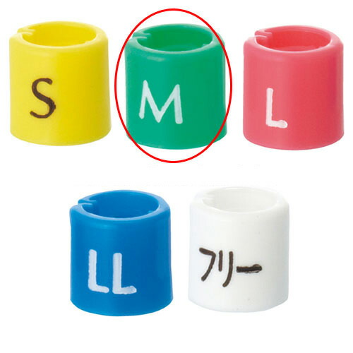 【まとめ買い10個セット品】サイズチップ スリムタイプ M 緑 50個 61-200-10-2 【店舗什器 小物 ディスプレー ハンガーチップ サイズチップ 店舗備品】【メイチョー】