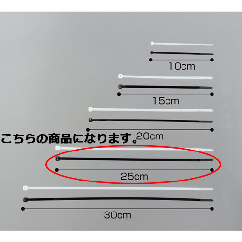 【まとめ買い10個セット品】ロックタイ L25cm 黒色 100本 61-245-14-8 【店舗什器 小物 ディスプレー 店舗備品 文具 消耗品】【メイチョー】 4,625円