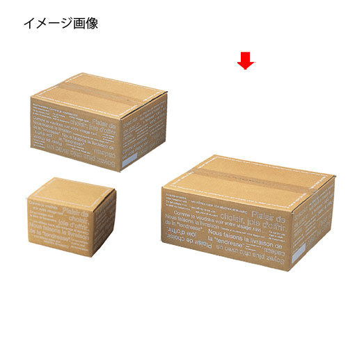 楽天市場】ワンタッチダンボール 31×22×7cm 10枚【店舗運営用品 梱包