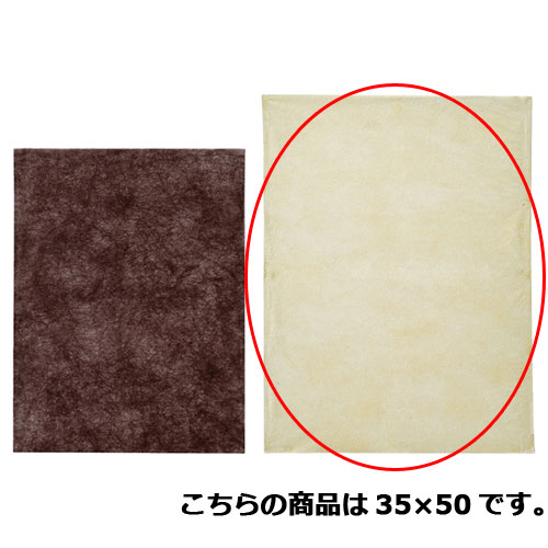 【まとめ買い10個仕掛ける品】不織布肌付きうしろ側薄印字機M ベージュ 35×50 100枚 61-283-11-8 【 荷拵え紙 吉野紙・不織布 不織布肌付き御徒面子 薄印字機 】【 荷拵え ラッピング袋 差し上げ物ボックス席 差し上げ物御徒面子 差し上げ物 差し上げ物 お役目用 】【メイチョー】