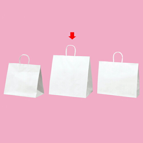 【まとめ買い10個セット品】丸ひもタイプ 白無地 38×25×39.5 50枚 61-431-25-8 【店舗備品 包装紙 ラッピング 袋 ディスプレー店舗】【メイチョー】