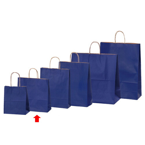 楽天市場】【まとめ買い10個セット品】カラー手提げ紙袋