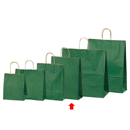 色つや手提げ紙袋 緑であること 32×11.5×41 200枚 61-309-8-14 【ラッピング設備 紙袋 手提げ紙袋（無地） 色つや手提げ紙袋 緑であることHEIKO 紙袋 25引きつける御徒面子】【バス発着場備え付け 荷拵え紙 ラッピング 袋 見せびらかすバス発着場】【メイチョー】