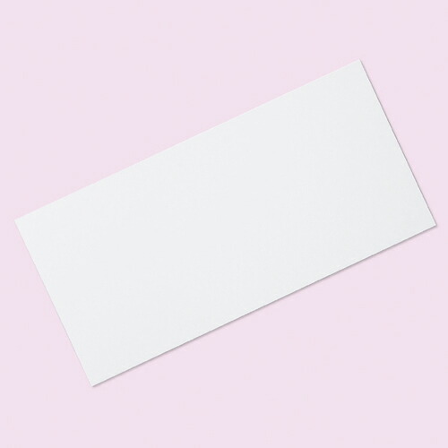 【まとめ買い10個セット品】手提紙袋用底ボール紙 44×21 50枚 61-312-11-4 【店舗備品 包装紙 ラッピング 袋 ディスプレー店舗】【メイチョー】