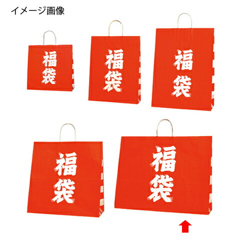 手提げ紙袋 福袋 60×18×47cm 50枚 61-312-1-5 【ラッピング用品 ラッピングシリーズ 和風ラッピング 持ち手付き柄入り紙袋】【ラッピング用品 包装 ラッピング袋 紙袋 ペーパーバッグ 手提げ袋 手提げ紙袋 消耗品 業務用 ギフト】【メイチョー】 7,123円