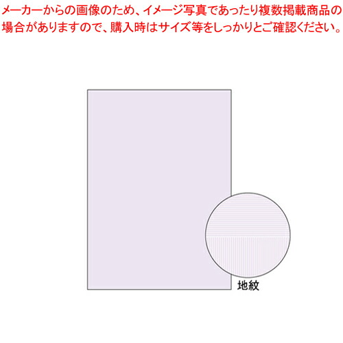 コピー偽造予防用紙 BP2110Z  1個【厨房館】