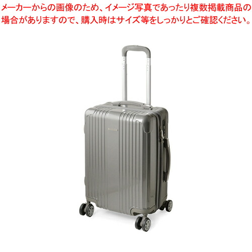 楽天市場】レジェンド キャリーケース 05-5197-20 グレー 1個 : 厨房卸