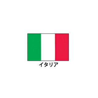 旗(世界の国旗)　エクスラン国旗　イタリア　取り寄せ商品【厨房館】