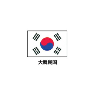 旗(世界の国旗) エクスラン国旗 大韓民国 取り寄せ商品【厨房館】