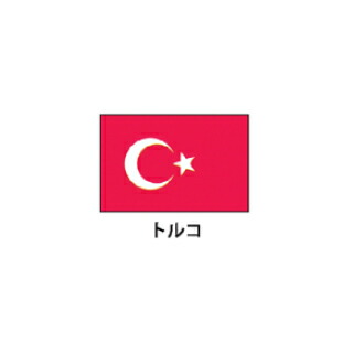 旗(世界の国旗)　エクスラン国旗　トルコ　取り寄せ商品【厨房館】