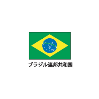 18536円 大人女性の 18536円 大人気 旗 世界の国旗 エクスラン国旗 ブラジル 取り寄せ商品