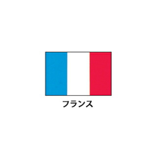 旗(世界の国旗)　エクスラン国旗　フランス　取り寄せ商品【厨房館】｜業務用厨房機器の飲食店厨房館