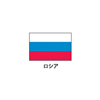 旗(世界の国旗)　エクスラン国旗　ロシア　取り寄せ商品【厨房館】｜業務用厨房機器の飲食店厨房館