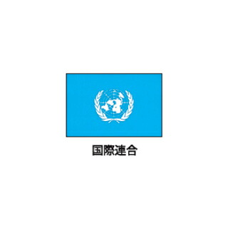 旗(世界の国旗)　エクスラン国旗　国連　取り寄せ商品【厨房館】