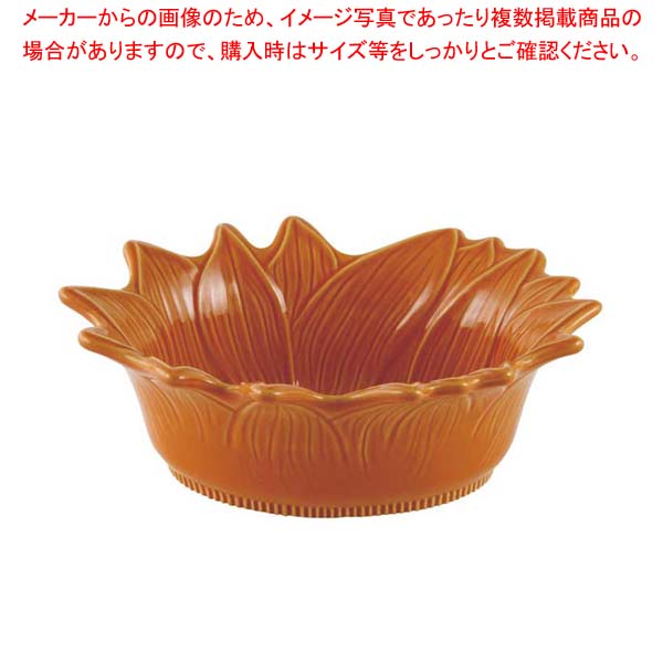 【まとめ買い10個仕掛ける品】 アポーリア サラダ菜どんぶり鉢 22糎 西洋カボチャ 070222017【勝手もと館】