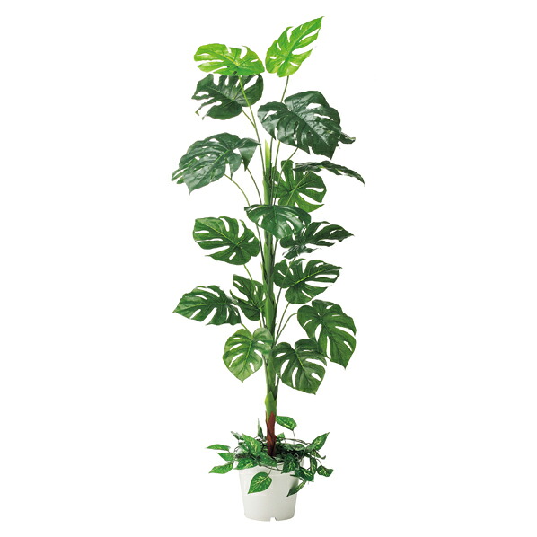 モンステラ(人工樹木)1台 61-428-27-1 【演出・ディスプレイ用品 店内装飾用品 フェイクグリーン（人工樹木） モンステラ フェイクグリーン/人工樹木】【厨房館】