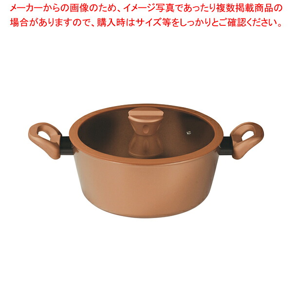 VISIONS GOLD Coating IH対応シチューポット24cm 【厨房館】