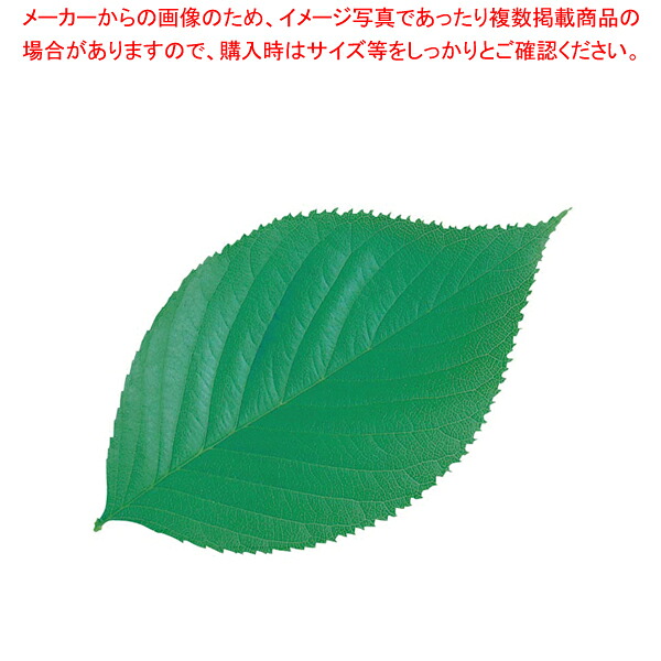 【まとめ買い10個仕掛ける品】型抜きせつ然たる腰かけ(200枚入) 65782 ミニ･葉っぱ【 一皿分の料理監督備品 敷き小物 バレンタイン でき事 クリスマス 白いことデー 一皿分の料理監督備品 敷き小物 御役目用】【御厨子所館】