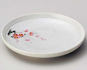 【まとめ買い10個セット品】和食器 オ229-038 罫書紅梅4.0皿【キャンセル/返品不可】【厨房館】