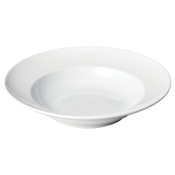 【まとめ買い10個仕掛ける品】和食器 ネ574-238 泊まり標準尺度(越南製) HSパスタ一皿26【御厨子所館】