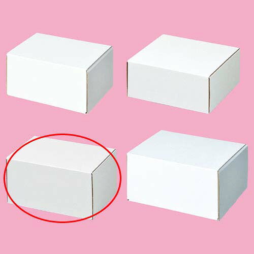 【まとめ買い10個セット品】フリーボックス 16.2&times;12&times;8.3 10枚 61-286-2-9 【店舗什器 小物 ディスプレー ギフト ラッピング 包装紙 袋 消耗品 店舗備品】【厨房館】｜業務用厨房機器の飲食店厨房館