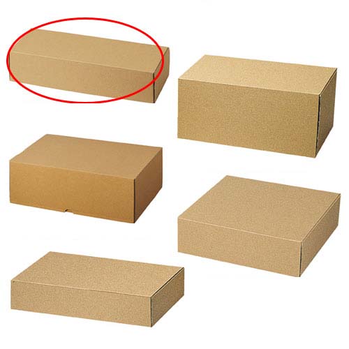 【まとめ買い10個セット品】ナチュラルボックス27.5×11×6cm 10枚 61-286-3-13 【 ラッピング用品 ギフトボックス ギフトボックス ナチュラルボックス 10枚入 】【 包装 ギフトラッピング 箱 ギフトボックス プレゼント 贈り物 雑貨 かわいい 業務用 】【厨房館】