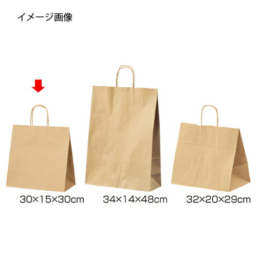 丸ひもタイプ 茶無地 30×15×30 200枚 61-431-24-16 【店舗什器 小物 ディスプレー ギフト ラッピング 包装紙 袋 消耗品 店舗備品】【厨房館】 8,219円