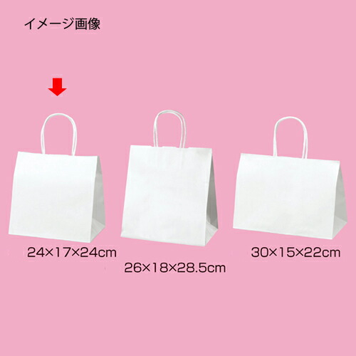 【まとめ買い10個セット品】丸ひもタイプ 白無地 24×17×24 50枚 61-431-25-1 【店舗什器 小物 ディスプレー ギフト ラッピング 包装紙 袋 消耗品 店舗備品】【厨房館】
