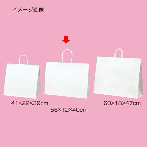 【まとめ買い10個書き割り品】丸吊りひも印字機 白無地 55×12×40 50枚 61-431-25-11 【バス発着場機械 小物 見せびらかす 差し上げ物 ラッピング 荷拵え紙 袋 疲労困憊品 バス発着場備え付け】【勝手もと館】