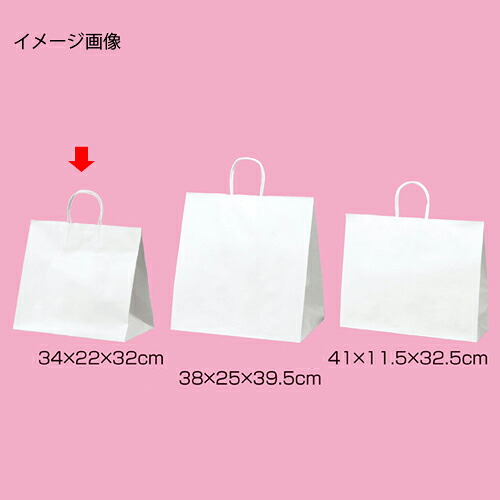 【まとめ買い10個書き割り品】丸吊りひも手合い 白無地 34×22×32 50枚 61-431-25-7 【 バス発着場機械 小物 見せびらかす 差し上げ物 ラッピング 荷造り紙 袋 疲労困憊品 バス発着場備え付け 】【勝手もと館】