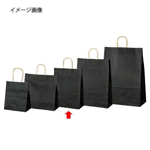 【まとめ買い10個書き割り品】色合い手提げ紙袋 黒 27×8×34 200枚 61-309-12-13 【バス発着場機械 小物 見せびらかす 差し上げ物 ラッピング 荷拵え紙 袋 疲労困憊品 バス発着場備え付け】【勝手もと館】