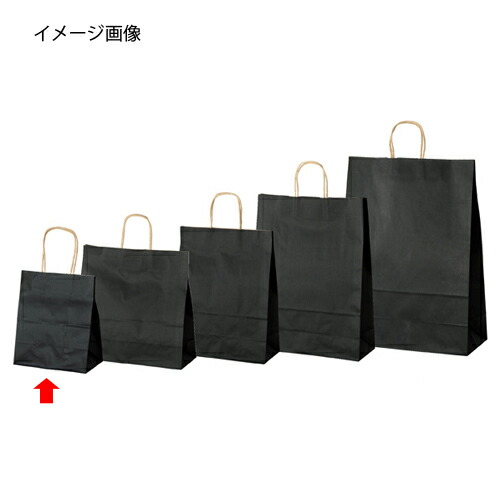 【まとめ買い10個セット品】カラー手提げ紙袋 黒 21×12×25 300枚 61-309-12-9 【店舗什器 小物 ディスプレー ギフト ラッピング 包装紙 袋 消耗品 店舗備品】【厨房館】