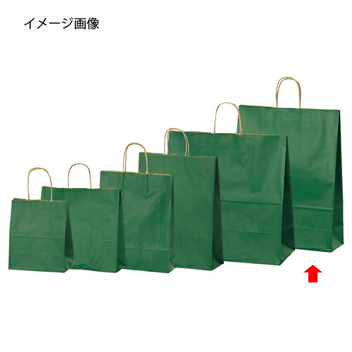 カラー手提げ紙袋 グリーン 38×15×50 200枚 61-309-8-16 【ラッピング用品 紙袋 手提げ紙袋（無地） カラー手提げ紙袋 グリーンHEIKO 紙袋 25チャームバッグ】【店舗什器 小物 ディスプレー ギフト ラッピング 包装紙 袋 消耗品 店舗備品】【厨房館】