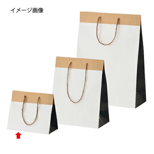 【まとめ買い10個セット品】クラフト ブラック 19×10×16.5 10枚 61-310-4-1 【 ラッピング用品 紙袋 手提げ紙袋（無地） 手提げ紙袋 クラフト ブラック 】【店舗什器 小物 ディスプレー ギフト ラッピング 包装紙 袋 消耗品 店舗備品】【厨房館】
