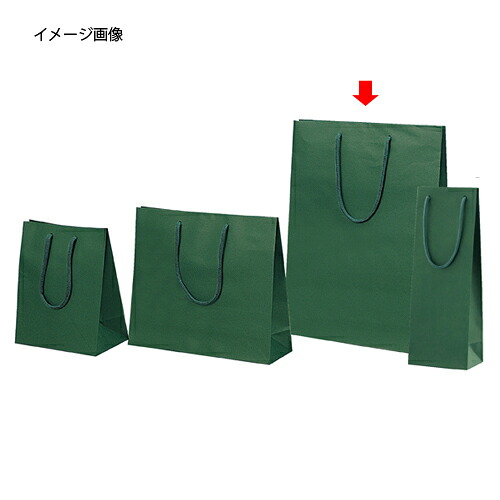【まとめ買い10個セット品】カラー手提げ紙袋 グリーン 33×10×45 10枚 61-313-5-3 【店舗什器 小物 ディスプレー ギフト ラッピング 包装紙 袋 消耗品 店舗備品】【厨房館】