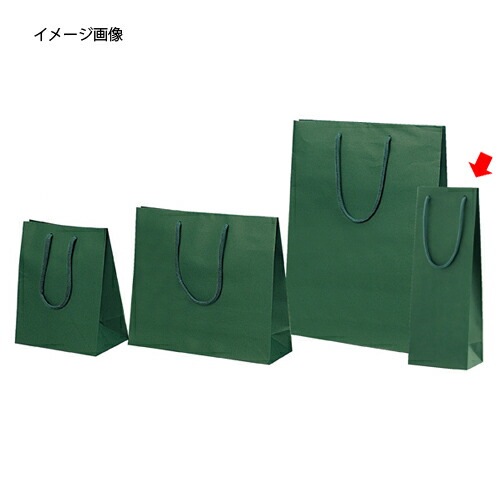 色つや手提げ紙袋 緑であること 13×9×36(ぶどう酒用) 100枚 61-313-5-8 【ラッピング設備 紙袋 手提げ紙袋（無地） 色つや手提げ紙袋】【バス発着場機械 小物 見せびらかす 差し上げ物 ラッピング 荷拵え紙 袋 摺り切る品 バス発着場備え付け】【勝手もと館】