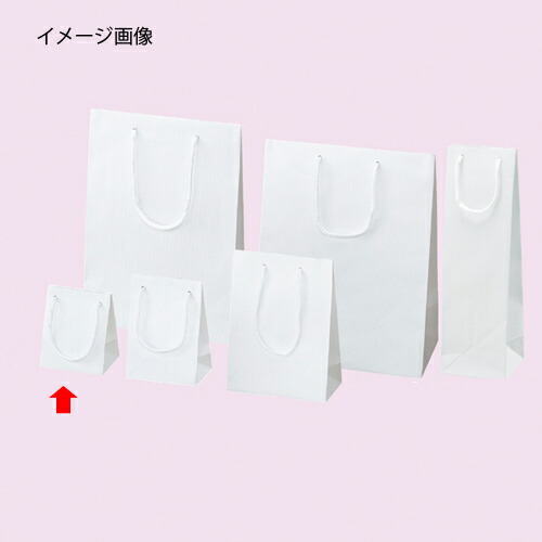 【まとめ買い10個セット品】手提げ紙袋 エンボス 白 10×12cm 10枚 61-313-8-1 【 ラッピング用品 ラッピングシリーズ バレンタイン・イースター・入学 手提げ紙袋 】【 包装 ラッピング袋 ペーパーバッグ 無地 手提げ袋 手提げ紙袋 消耗品 業務用 】【厨房館】 8,734円