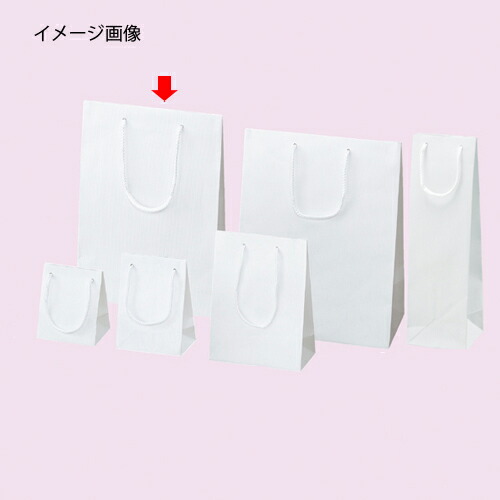手提げ紙袋 エンボス 白 22.5×32cm 50枚 61-313-8-11 【ラッピング用品 ラッピングシリーズ バレンタイン・イースター・入学 手提げ紙袋】【ラッピング用品 包装 ラッピング袋 紙袋 ペーパーバッグ 無地 手提げ袋 手提げ紙袋 消耗品 業務用】【厨房館】