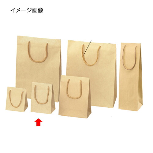 【まとめ買い10個書き割り品】エン雇い主 手工芸品 12×7×16.5 50枚 61-313-9-9 【バス発着場機械 小物 見せびらかす 差し上げ物 ラッピング 荷拵え紙 袋 疲労困憊品 バス発着場備え付け】【勝手もと館】