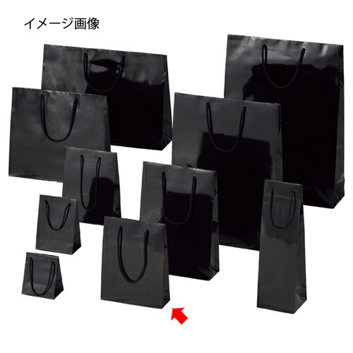 【まとめ買い10個セット品】ブライトバッグ ブラック 18.5×6.5×24 50枚 61-314-2-18 【店舗什器 小物 ディスプレー ギフト ラッピング 包装紙 袋 消耗品 店舗備品】【厨房館】