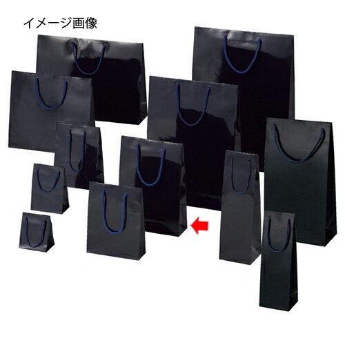 【まとめ買い10個セット品】ブライトバッグ 紫紺 22.5×8×32 50枚 61-314-4-20 【店舗什器 小物 ディスプレー ギフト ラッピング 包装紙 袋 消耗品 店舗備品】【厨房館】 58,664円