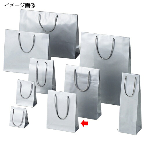 【まとめ買い10個セット品】ブライトバッグ シルバー 18.5×6.5×24 10枚 61-661-54-6 【 店舗什器 小物 ディスプレー ギフト ラッピング 包装紙 袋 消耗品 店舗備品 】【厨房館】
