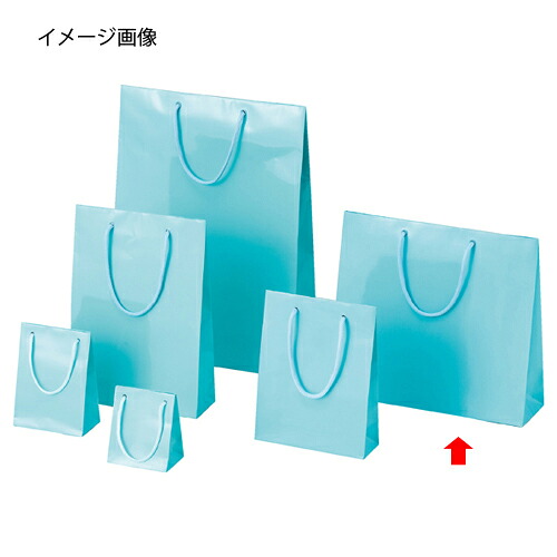 【まとめ買い10個セット品】手提げ紙袋 ブライトバック アサギ 33×10×30cm 10枚 61-314-6-9 【 ラッピング用品 ラッピングシリーズ バレンタイン・イースター・入学 ブライトバッグ アサギシモジマ 紙袋 ツヤ有り 水色 】【厨房館】