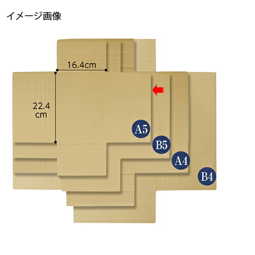 【まとめ買い10個セット品】タトウ式ダンボール 22.4×16.4×1.8~6cm 40枚 61-319-3-1 【店舗什器 小物 ディスプレー ギフト ラッピング 包装紙 袋 消耗品 店舗備品】【厨房館】|業務用厨房機器の飲食店厨房館
