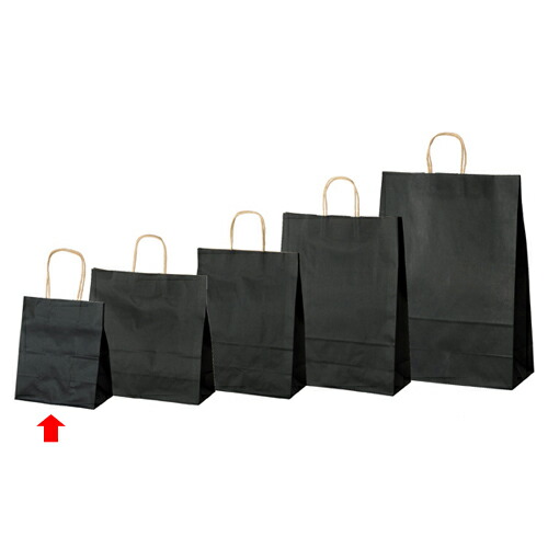 【まとめ買い10個セット品】カラー手提げ紙袋 黒 21×12×25 50枚 61-309-12-1 【店舗備品 包装紙 ラッピング 袋 ディスプレー店舗】【厨房館】