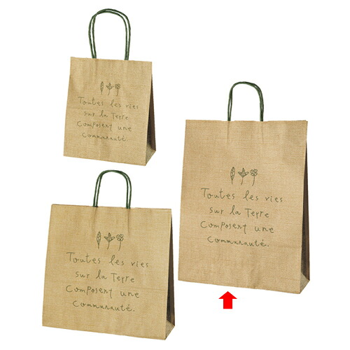 ナチュール 32×11.5×41 200枚 61-311-3-8 【ラッピング設備 紙袋 手提げ紙袋（柄入り口・入口） ナテュール】【バス発着場備え付け 荷拵え紙 ラッピング 袋 見せびらかすバス発着場】【勝手もと館】