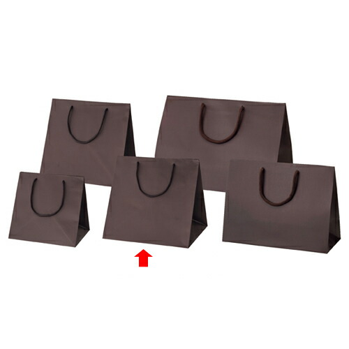 人気 Exp 61 314 8 8 紙袋 手提げ袋 厨房館 ラッピング まとめ買い10個セット品 楽天 販売 ブラウン ディスプレー店舗 業務用厨房機器の飲食店厨房館 50枚 店舗備品 Exp 61 P604 業務用 マット貼りブライトバッグ 通販 50枚 包装紙 30 28 30 ブラウン 袋