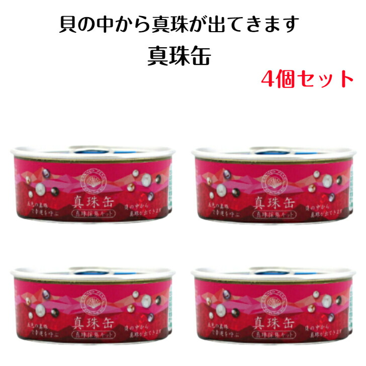 真珠　缶バッジ 楽天市場】真珠缶 4個セット 真珠 真珠缶詰 真珠採集キット しん